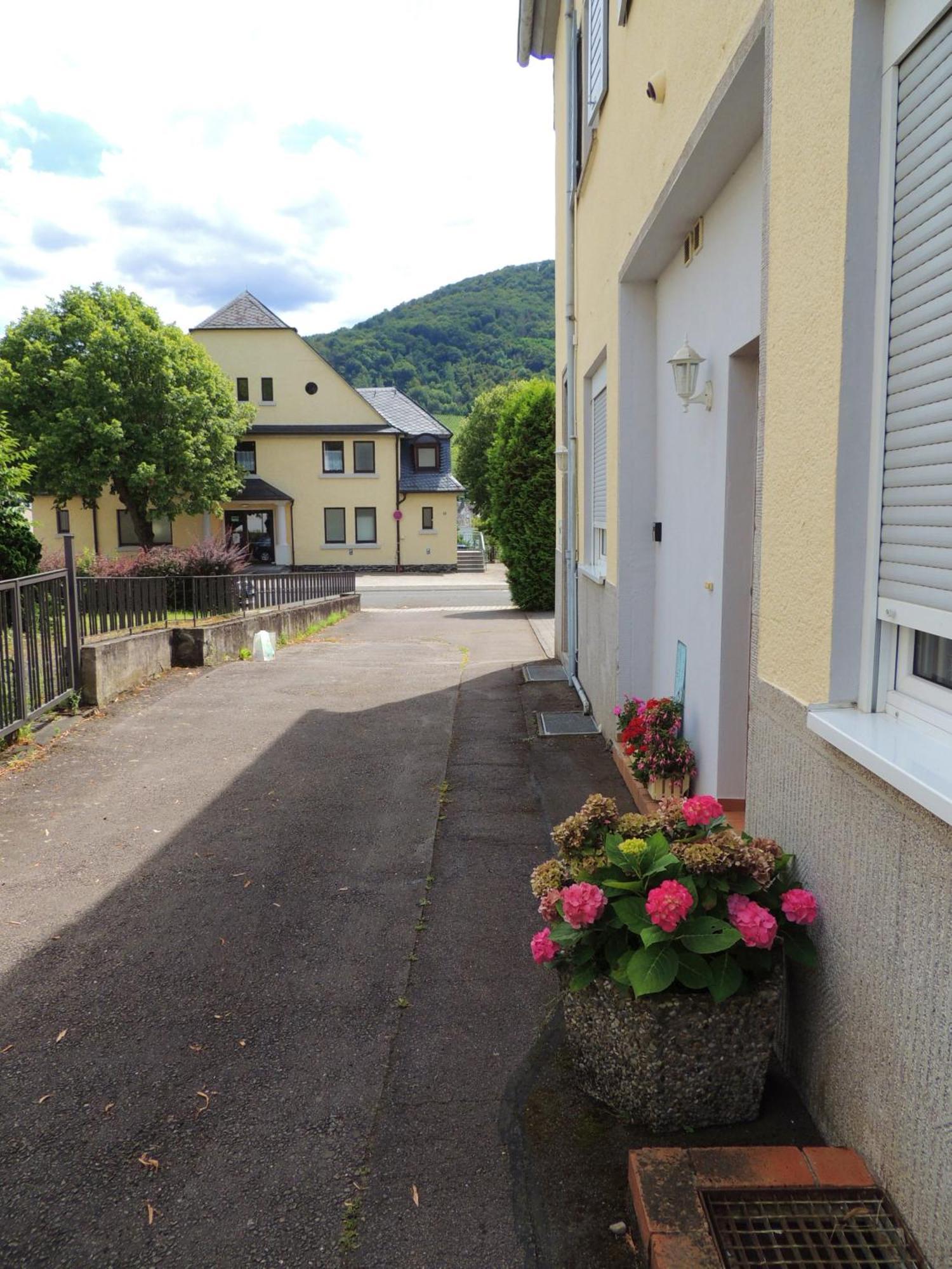 Ferienwohnung Afrika Bernkastel-Kues Eksteriør billede